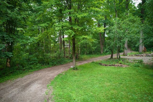 23627 Glenwood Rd, Cassopolis, MI 49031 - view of yard featuring a forest view