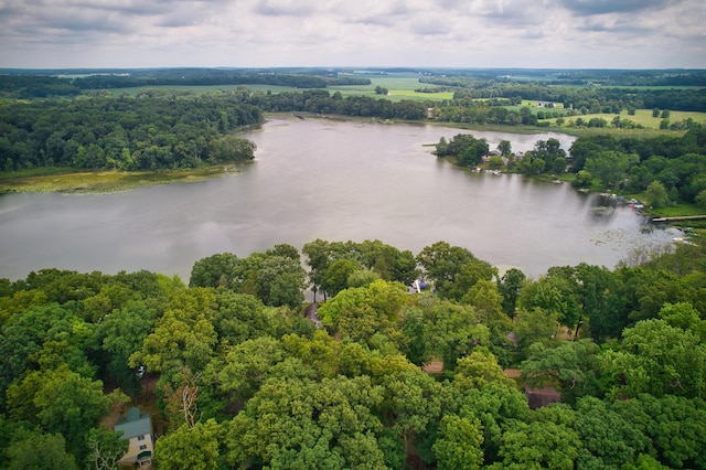 23627 Glenwood Rd, Cassopolis, MI 49031 - aerial view of a large body of water and a forest