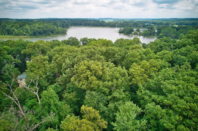 23627 Glenwood Rd, Cassopolis, MI 49031 - aerial view of a nearby body of water