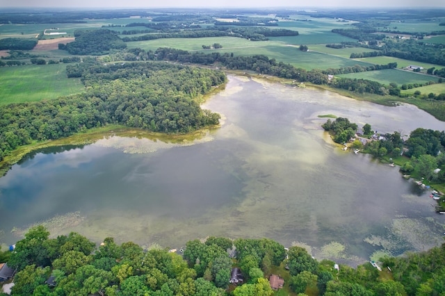 23627 Glenwood Rd, Cassopolis, MI 49031 - bird's eye view of a large body of water