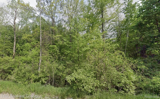 00 E Willard Rd, Clio, MI 48420 - photo 2