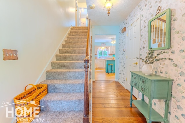 141 W Pearl St, Ovid, MI 48866 - photo 16