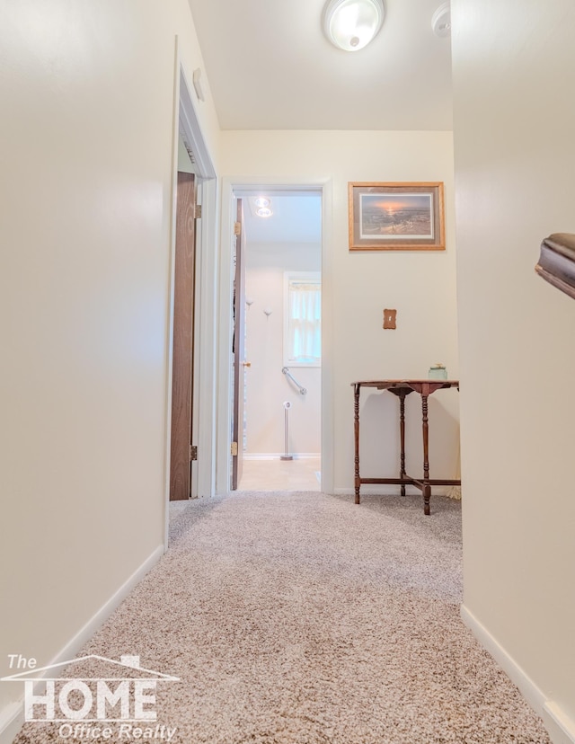 141 W Pearl St, Ovid, MI 48866 - photo 17