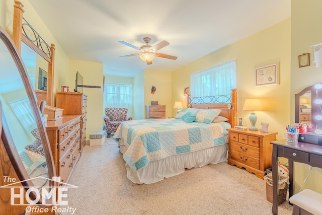 141 W Pearl St, Ovid, MI 48866 - photo 19