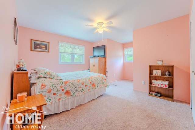 141 W Pearl St, Ovid, MI 48866 - photo 20