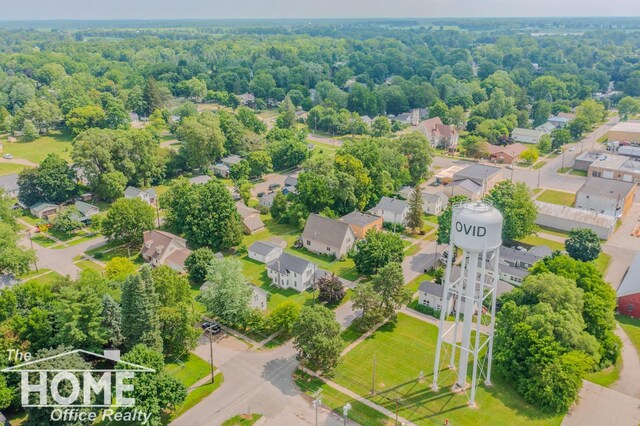 141 W Pearl St, Ovid, MI 48866 - photo 33
