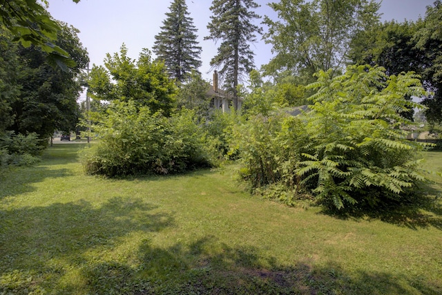 201 N Thompson St, Jackson, MI 49202 - photo 64