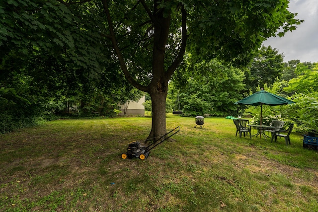105 Pine St, Decatur, MI 49045 - photo 2