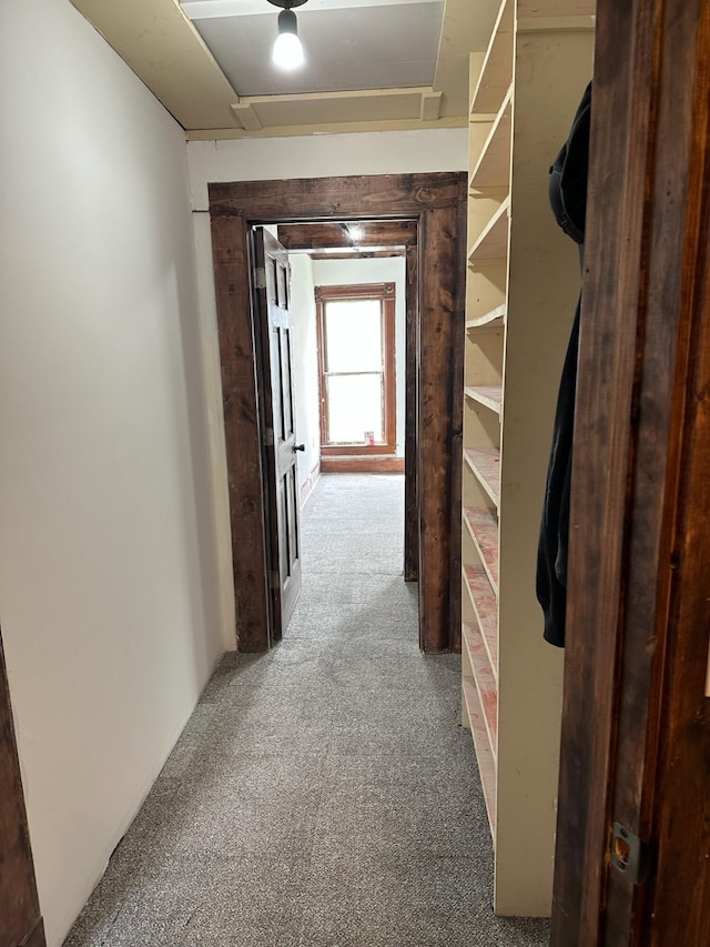 corridor featuring carpet floors
