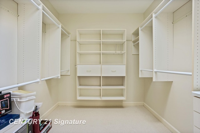 43 Sawmill Creek Trl, Saginaw, MI 48603 - walk in closet with carpet flooring