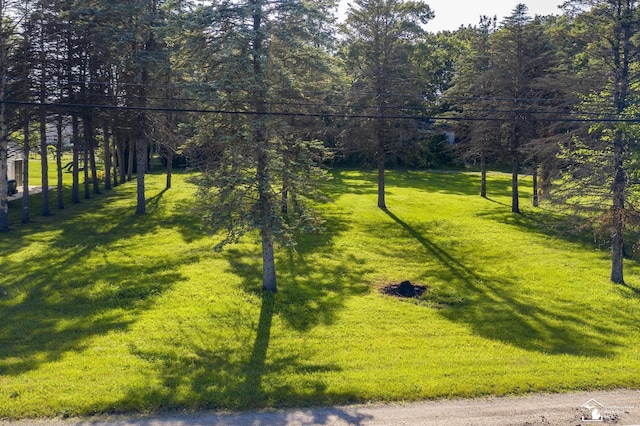 ParcelA Jackman Road, Temperance, MI 48182