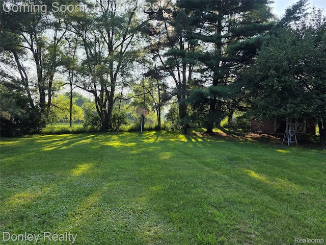 6059 Windward St, North Branch, MI 48461 - view of grassy yard