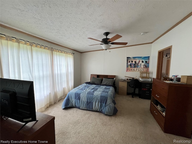 2343 Tia St, Croswell, MI 48422 - photo 17