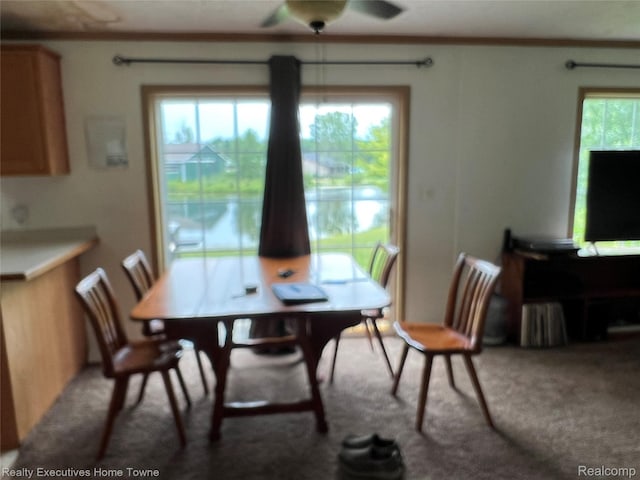 2343 Tia St, Croswell, MI 48422 - photo 10