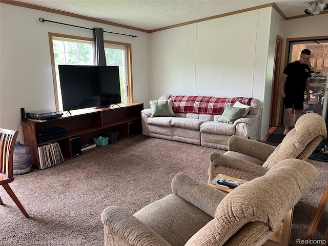 2343 Tia St, Croswell, MI 48422 - photo 12