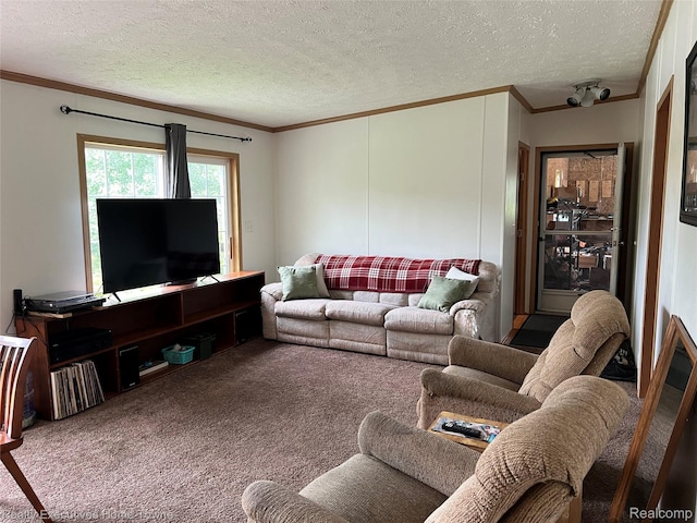 2343 Tia St, Croswell, MI 48422 - photo 11