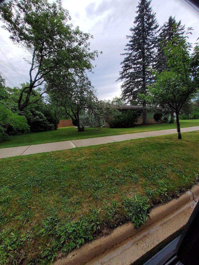 2828 Packard St, Ann Arbor, MI 48108 - view of grassy yard