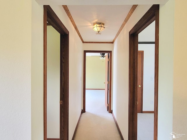 5901 Mortar Creek Rd, La Salle, MI 48145 - photo 27