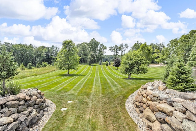 12500 Round Lake Rd, Horton, MI 49246 - view of grassy yard