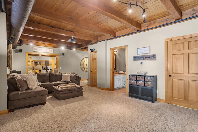 12500 Round Lake Rd, Horton, MI 49246 - carpeted living room featuring a wooden ceiling with exposed beams and track lighting