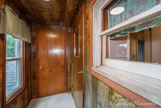 126 E Cherry St, Wayland, MI 49348 - hall featuring wood ceiling and carpet flooring