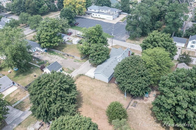 126 E Cherry St, Wayland, MI 49348 - bird's eye view