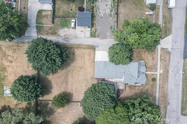 126 E Cherry St, Wayland, MI 49348 - aerial view