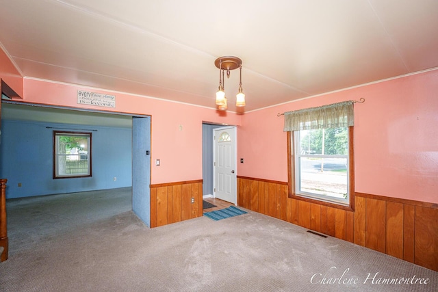 126 E Cherry St, Wayland, MI 49348 - unfurnished room featuring a wainscoted wall, wooden walls, and carpet flooring