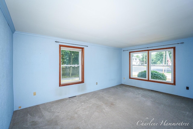 126 E Cherry St, Wayland, MI 49348 - carpeted empty room featuring plenty of natural light and ornamental molding