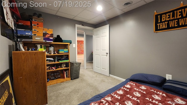 3405 Mayer Rd, China, MI 48054 - photo 36