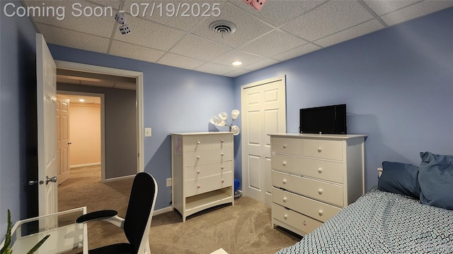 3405 Mayer Rd, China, MI 48054 - photo 40