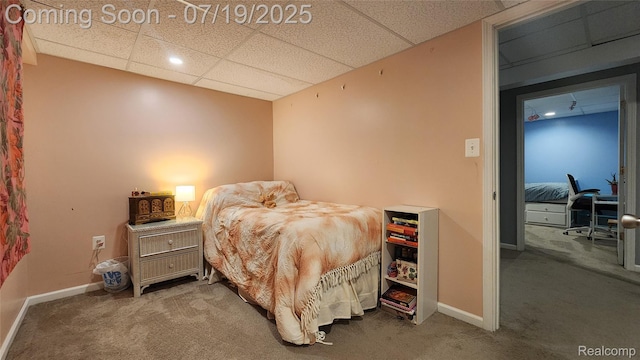 3405 Mayer Rd, China, MI 48054 - photo 43