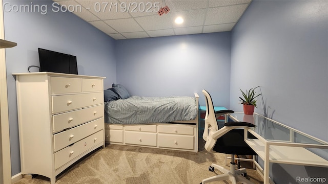 3405 Mayer Rd, China, MI 48054 - photo 37