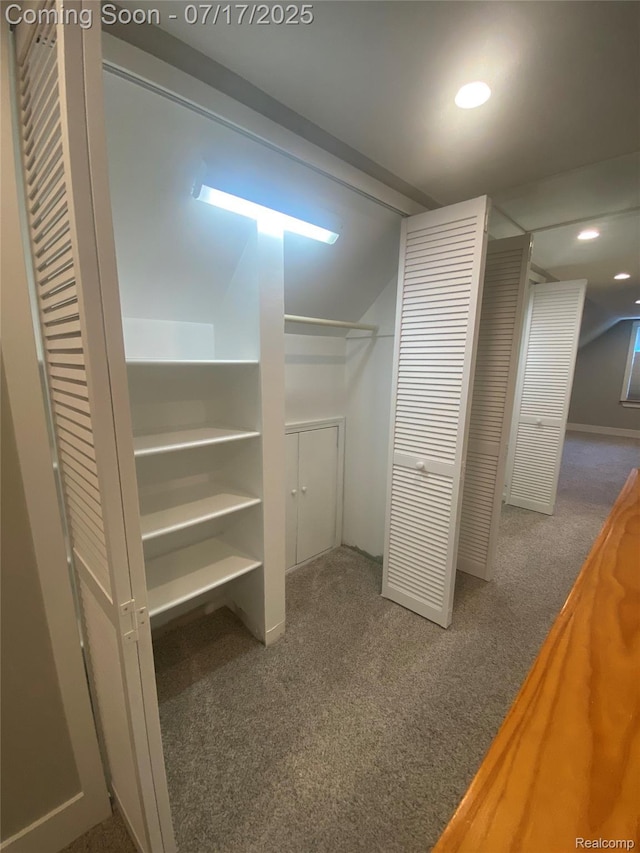 1417 N Maple Ave, Royal Oak, MI 48067 - view of closet