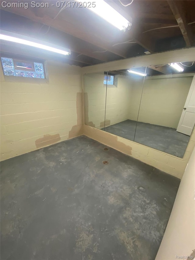 1417 N Maple Ave, Royal Oak, MI 48067 - basement with concrete block wall