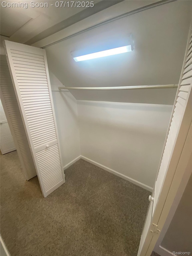 1417 N Maple Ave, Royal Oak, MI 48067 - view of closet