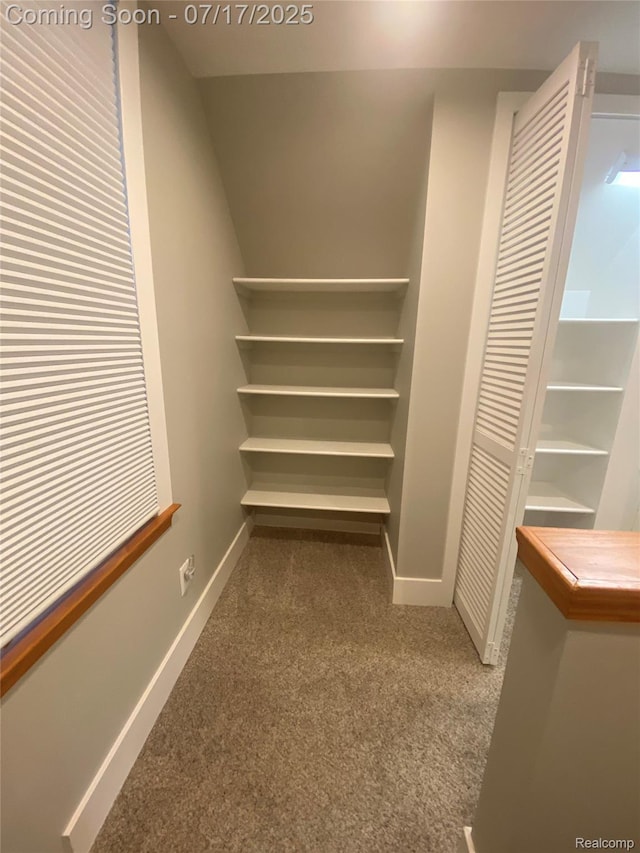 1417 N Maple Ave, Royal Oak, MI 48067 - view of closet