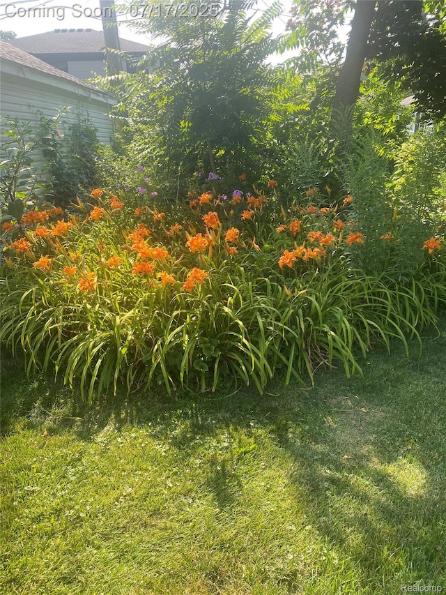 1417 N Maple Ave, Royal Oak, MI 48067 - view of green lawn