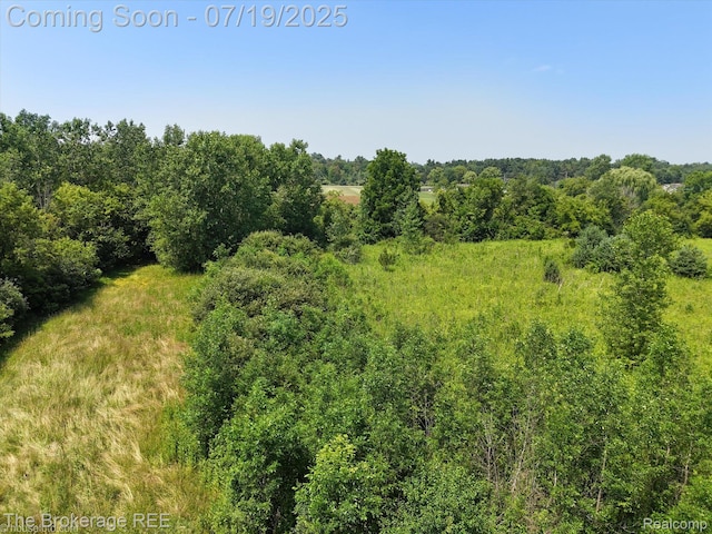 9380 N Lewis Rd, Clio, MI 48420 - photo 17