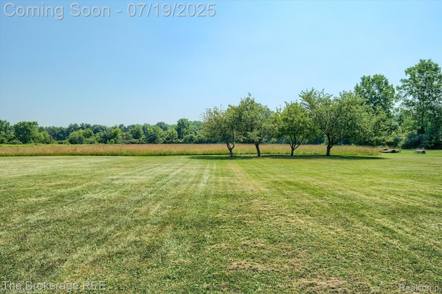 9380 N Lewis Rd, Clio, MI 48420 - photo 22
