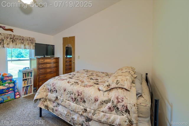 9380 N Lewis Rd, Clio, MI 48420 - photo 49