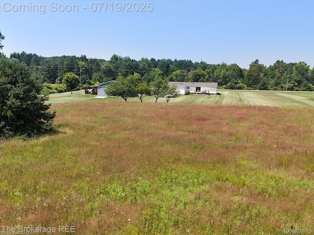 9380 N Lewis Rd, Clio, MI 48420 - photo 19