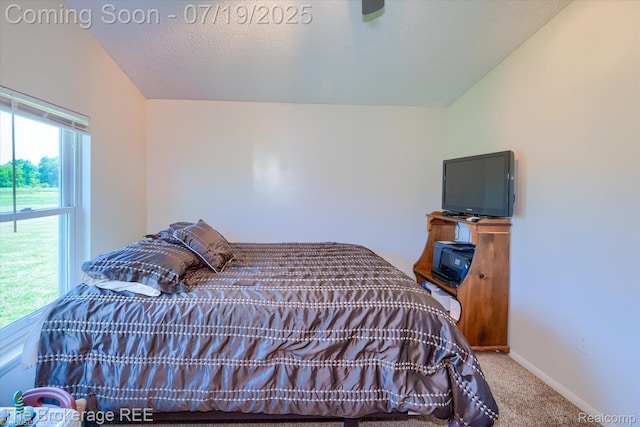 9380 N Lewis Rd, Clio, MI 48420 - photo 51