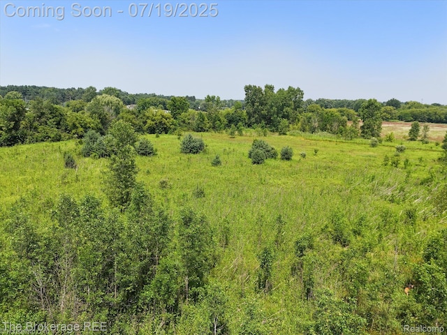 9380 N Lewis Rd, Clio, MI 48420 - photo 18