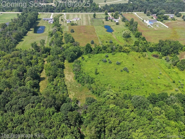 9380 N Lewis Rd, Clio, MI 48420 - photo 16
