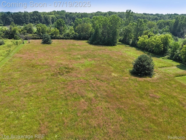 9380 N Lewis Rd, Clio, MI 48420 - photo 15