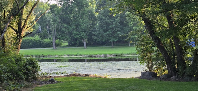 533 Sherwood Rd, Bellevue, MI 49021 - photo 85