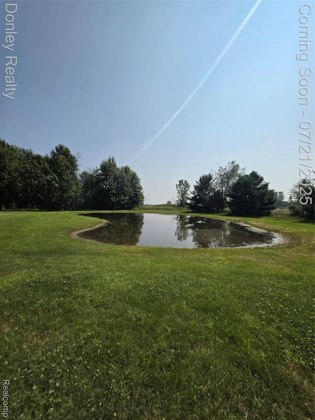 12923 Belle River Rd, Riley, MI 48041 - photo 67