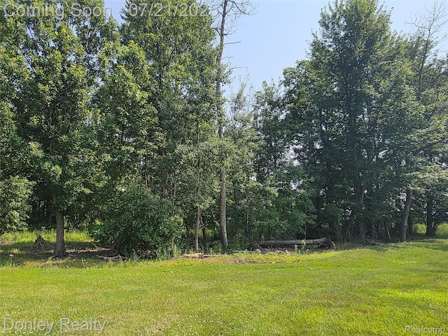 12923 Belle River Rd, Riley, MI 48041 - photo 66