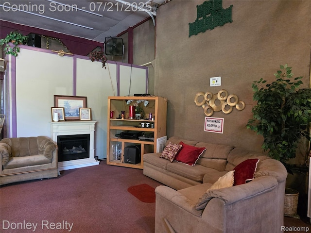 12923 Belle River Rd, Riley, MI 48041 - photo 61